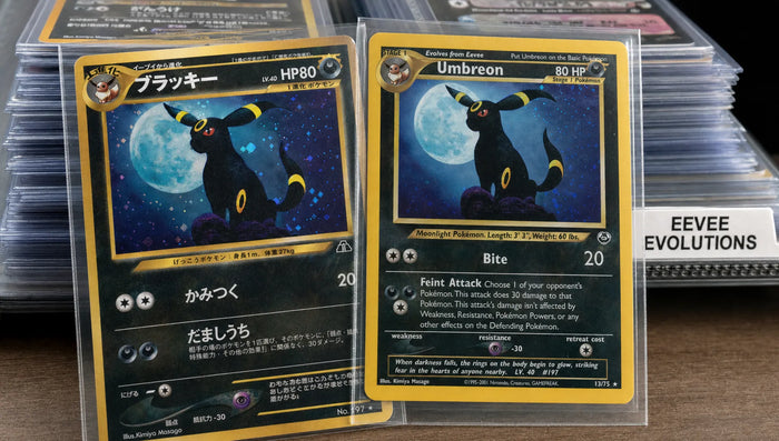 Japanese vs English Pokémon Cards: Which to Buy?