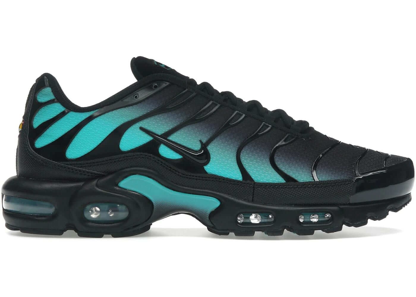Nike Air Max Plus Black Dusty Cactus - BigBoiSneakers 